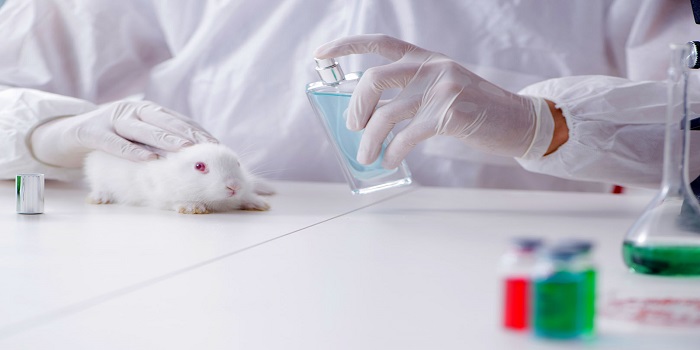 انجام بی رویه تست های شیمیایی روی حیوانات آزمایشگاهی در صنعت آرایشی و بهداشتی جهان!