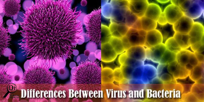 عفونت های باکتریایی و ویروسی چه تفاوتی دارند؟