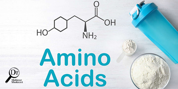 آمینو اسید چیست و عملکرد آن چگونه است؟