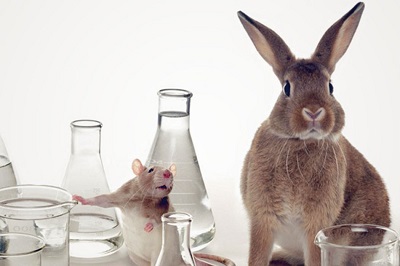 تست محصولات آرایشی بر روی خرگوش-مهناز شکروی